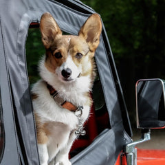 Salbsever rust-proof iron bell endures outdoor wear