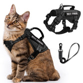 Salfse large tactical cat harness air mesh keeps your cat cool and comfortable on outdoor walks.