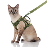Salfse tactical cat harness back MOLLE patches highlight a customizable, durable outdoor-ready setup.