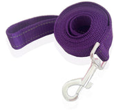 SALO dog leash 8ft with reflective nylon for safer evening walks.