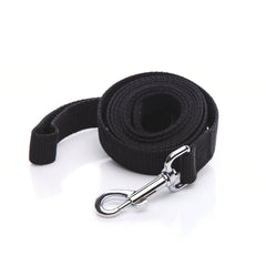 SALO nylon dog leash 12ft closeup shows durable 1-inch nylon and grip