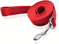 SALO nylon dog leash 16ft long shows overall walking setup for mid-to-large dogs.