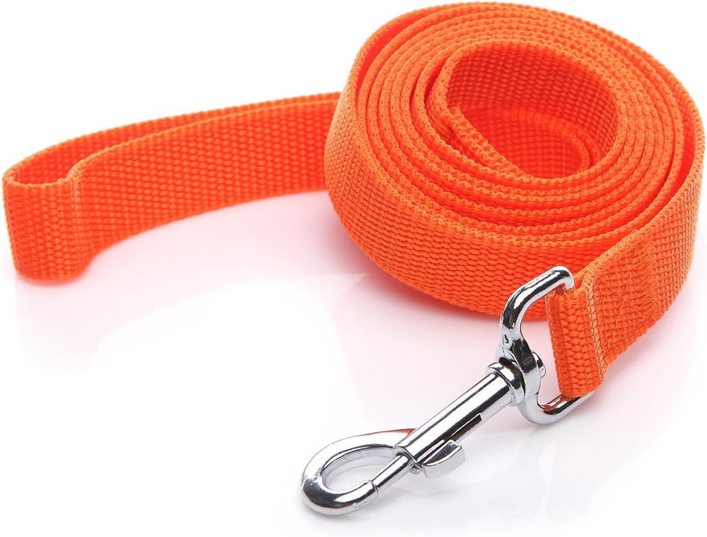 SALO nylon dog leash 8ft wide shot highlights durable daily walks and training.