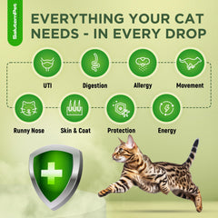 SalutemPet cat antibiotic dosing dropper shown for precise administration.