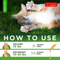 SalutemPet cat antibiotic packaging highlighting safe, natural formula.