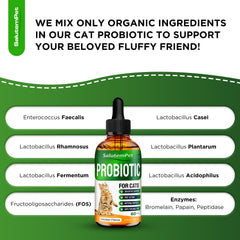 SalutemPet cat probiotics dropper-use image demonstrates convenient dosing.