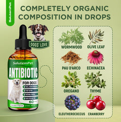 SalutemPet dog antibiotics itch-relief drops highlighting natural ingredients for comfort.