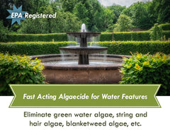 Sanco algae closeup reveals hair and filamentous growth common in ponds