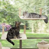 Sangoodier cat window perch folded in window for space-saving lounging.
