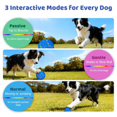 Sankell interactive dog ball blue auto-bounce in motion for dynamic chasing.