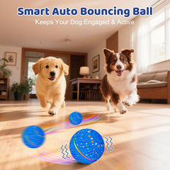 Sankell interactive dog ball blue LED lights highlight stimulating visual play.