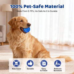 Sankell interactive dog ball blue rolling action demonstrates hands-free play.