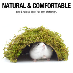 SanmooAio large hideout arch design demonstrates natural cave feel for instinctual hiding.