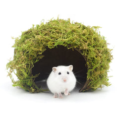 SanmooAio hamster hideout front view shows natural coconut shell texture for safe chewing.