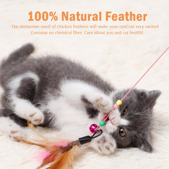 Sanpink Cat Feather Toy Pack – variety set image showcasing gifting-ready bundle.