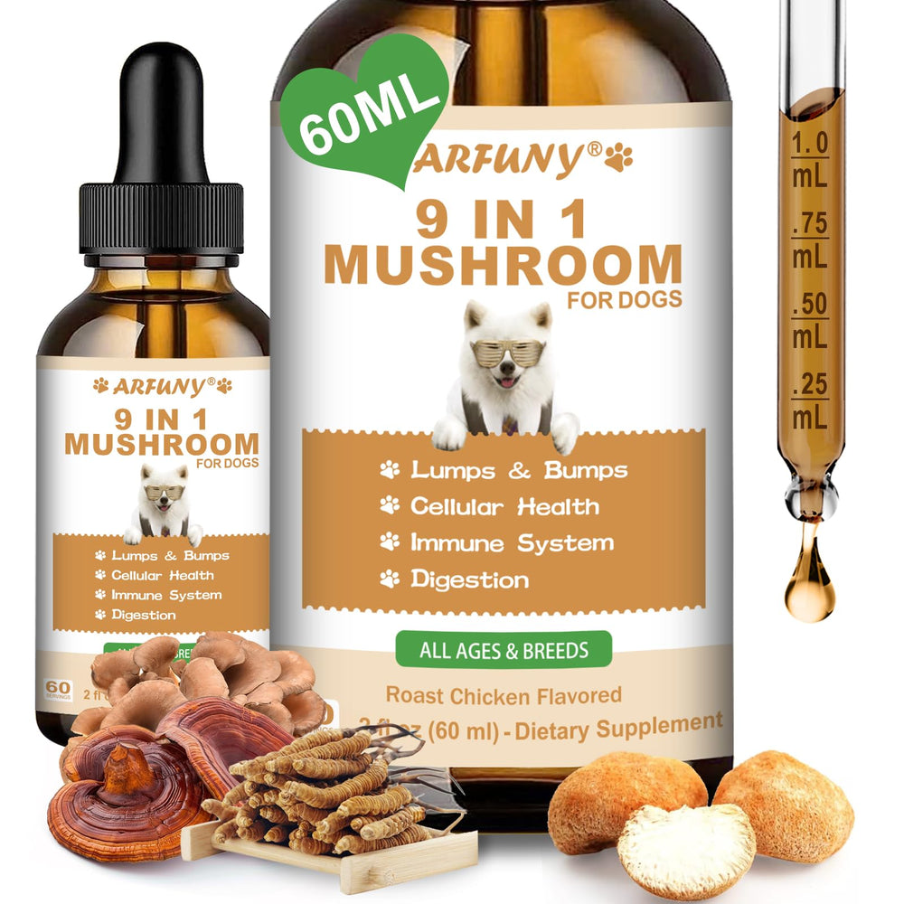 SANTKOL 9-in-1 dog mushroom roast chicken bowl for easy feeding and flavor appeal