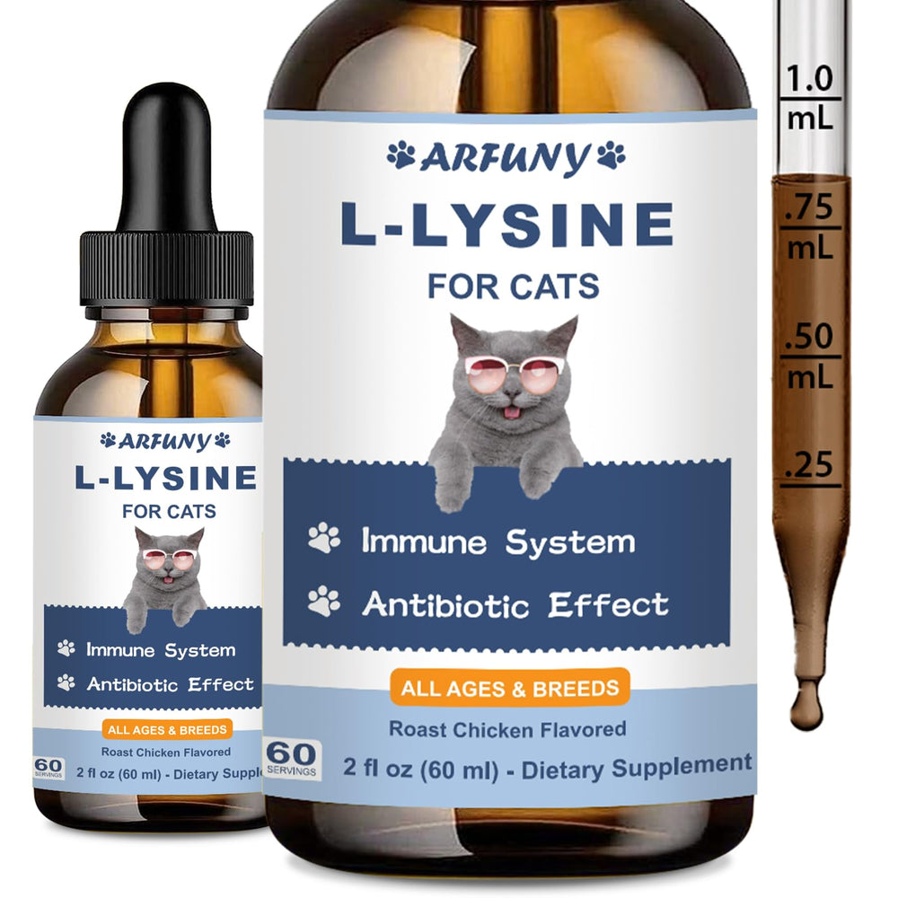 SANTKOL L-Lysine cat drops bottle closeup for immune support.