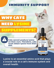 SANTKOL roast chicken flavor lysine treats for picky cats.