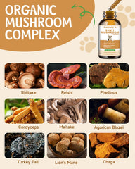 SANTKOL reishi dog skin-coat health focus for a shiny coat