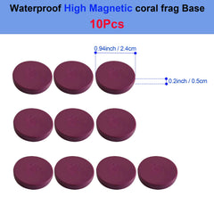 Saricho coral frag magnetic base purple round side angle shows versatile placement options