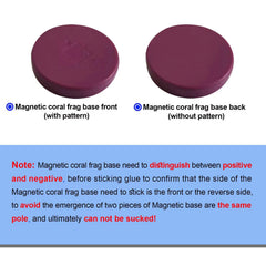 Saricho coral frag magnetic base purple round top view emphasizes aesthetic appeal and clean surface