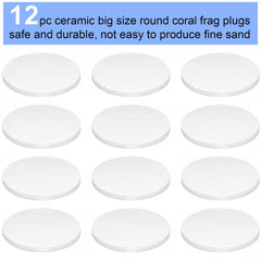 Saricho white coral frag plug round base 70mm ready for placement.