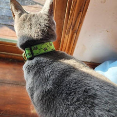 Sarybei Christmas dog collar buckle closeup emphasizing easy on/off plastic buckle