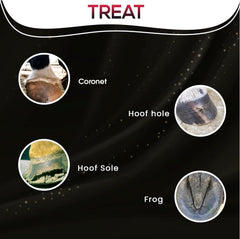 SAV-A-HOOF SBS Equine Spray on coronet area showing easy-to-apply formula.