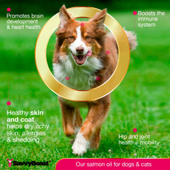 SavvyBeast salmon oil for dog meals enables easy supplementation