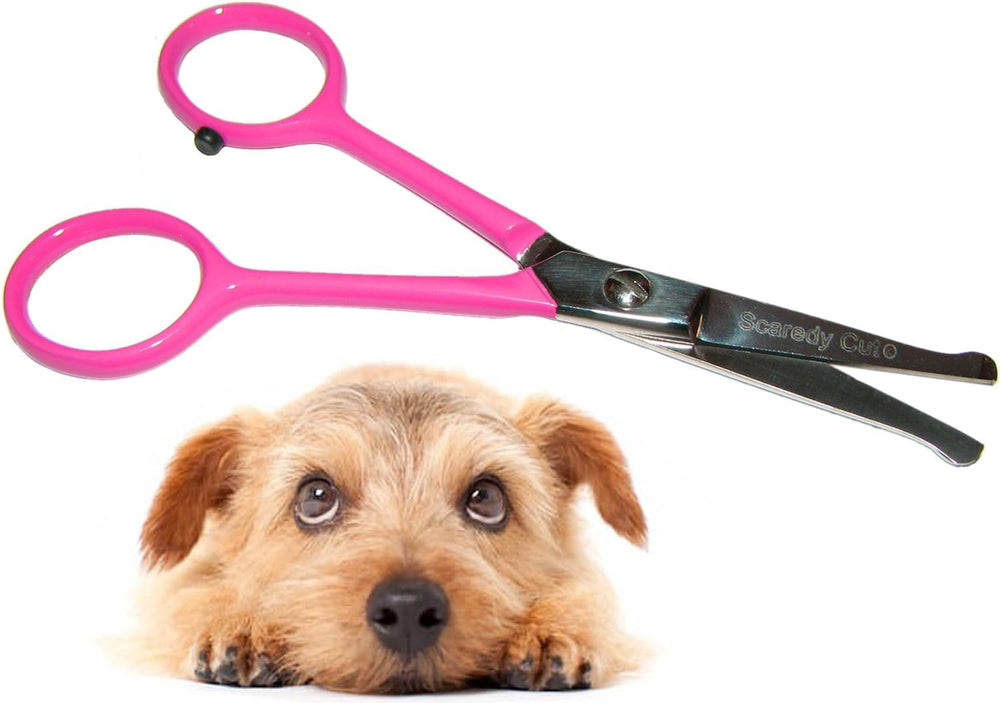 Scaredy Cut Tiny Trim ball-tipped scissor safely trims ears and face
