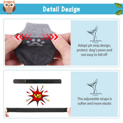 SCENEREAL anti-slip dog socks on a senior dog during a walk showing secure fit.