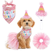 SCENEREAL dog birthday bandana on pink plaid for festive photos