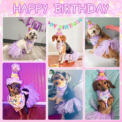 SCENEREAL birthday hat for dogs adds festive flair while staying secure