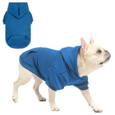 SCENEREAL dog hoodie blue front view highlights warm, comfortable wear for walks.