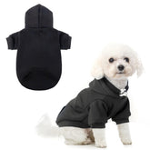 SCENEREAL dog hoodie hood closeup shows cozy fleece warmth for cold walks.