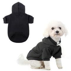 SCENEREAL dog hoodie hood closeup shows cozy fleece warmth for cold walks.