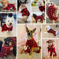 SCENEREAL elastic-waist dog pajamas show secure fit and easy movement for play.