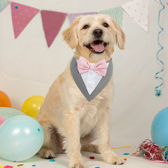 SCENEREAL dog tuxedo bandana sizes adjustable for secure fit