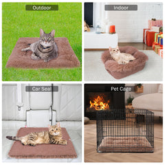 SCENEREAL self-warming cat bed folded bed showcases portable warmth for travel.