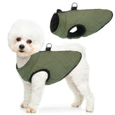 SCENEREAL winter dog vest back zipper in action for easy on-off during chilly walks