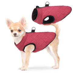 SCENEREAL winter dog vest front view showing warm padding and zipper