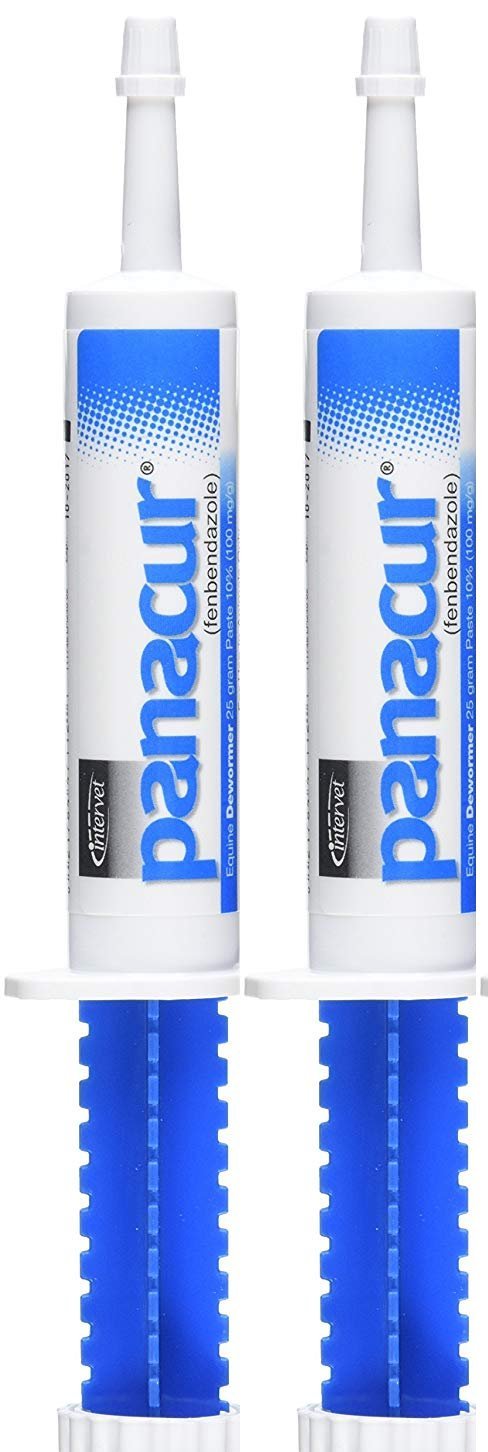 SCHERING/INTERVET D Panacur paste with apple-cinnamon flavor for horse deworming