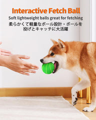 SCHITEC 2.8-inch bounce ball in action for indoor-outdoor fun