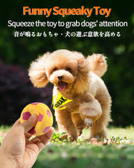 SCHITEC squeaky balls collection displaying varied shapes for diverse play and training.