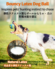 SCHITEC squeaky dog balls textured surface invites chewing during teething.