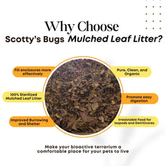 SCOTTY'S BUGS leaf litter in terrarium habitat showing natural hiding spots.