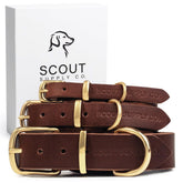 Scout Supply Co Classic Leather Collar closeup shows buttery full-grain leather for daily comfort