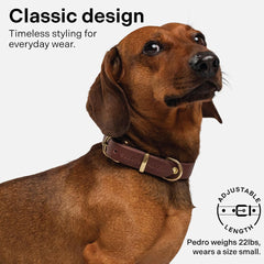 Scout Supply Co dark brown leather collar closeup shows timeless style