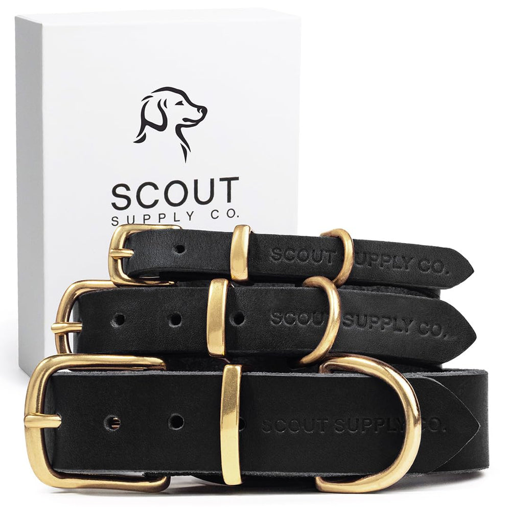 Scout Supply Co. Classic Leather Collar front view shows durable full-grain leather for daily wear.