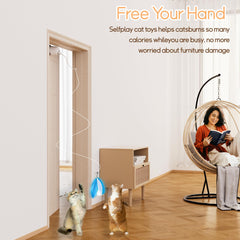 Scsuupoee feather accessories provide varied play and enrichment for curious cats